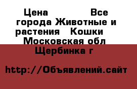 Zolton › Цена ­ 30 000 - Все города Животные и растения » Кошки   . Московская обл.,Щербинка г.